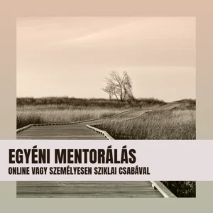 Egyéni mentorálás és tanácsadás