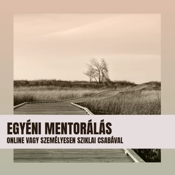 Egyéni mentorálás és tanácsadás